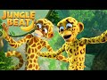 Animal Disguises | Munki the Bee | Jungle Beat | Cartoons for Kids | WildBrain Zoo