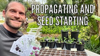 How to Propagate Verbena from Cuttings | Starting Spring Flowers Seeds