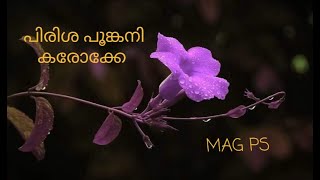 PIRISHA POONKANI KARAOKE WITH LYRICS |പിരിശ പൂങ്കനി| MAG PS