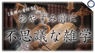 【睡眠導入雑学】不思議な雑学・自然の音付き【寝落ち用・深い睡眠・リラックス・聞き流し】