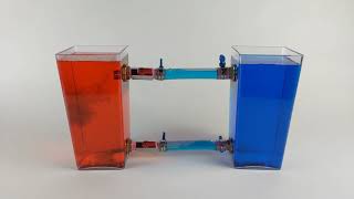 Ocean Density Circulation Model