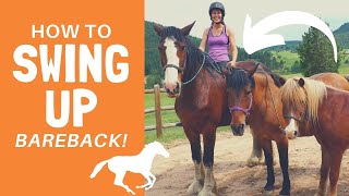 How to Swing Up On A Horse Bareback!