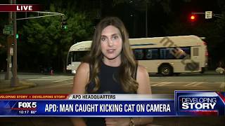 Police searching for man who kicked cat