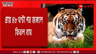 Kultali Tiger Update | মৈপীঠে কাটল বাঘের আতঙ্ক | Zee 24 Ghanta