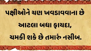 પક્ષીઓને ચણ ખવડાવવાના છે આટલા બધા ફાયદા, ચમકી શકે છે તમારું નસીબ. #vastutipsgujarati