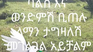 ባልሽ እና ወንድምሽ ቢጣሉ ለማን ታግዘዠለሽ መገልገልአይቻልም