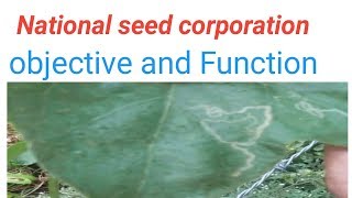 National seed corporation NSC full information