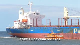 PORT ALICE - IMO 9311402 - Ship Spotting 4K