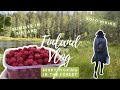 Solo Hiking in the Finnish Forest 🌲 (wild) Blueberry & Raspberry Picking / FINLAND VLOG