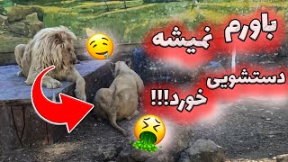 ولاگ باغ وحش🤢||باورم نمیشه!!