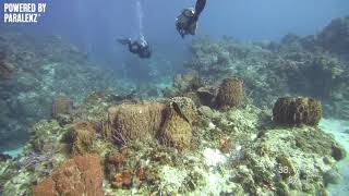 Cozumel beauty through the Paralenz Dive Camera