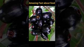 Top 5 Amazing Facts About Food 😱 | Fact | Fact in Hindi #shorts