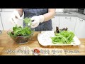 상추겉절이 korean lettuce salad