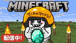 【マイクラ#6 初顔出し】『私と共にあれ世界、廻す準備はもう出来た編』 #minecraft