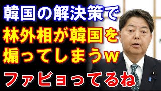 【ファビョーーン】林外相が韓国を煽るｗ追加の呼応措置はなく「韓国政府が解決策を着実に実施すべき」　#韓国#韓国ニュース#新東亜情報局