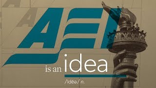 AEI is an idea