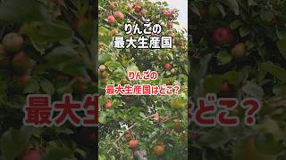 【雑学】りんごを一番多く生産してたのはあの国でした #shorts #りんご #林檎 #世界一