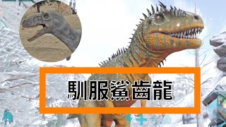 [2025ARK]手機方舟 鯊齒龍馴服！超大隻！騎起來！