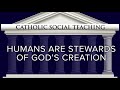 what are the pillars of catholic social teaching catholic central clip