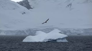 आइए जानते हैं  दुनिया का सबसे ठंडा अंटार्कटिका महाद्वीप के बारे में।—Hindi***Information