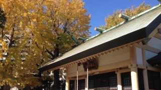 下小松天祖神社---東京都葛飾区