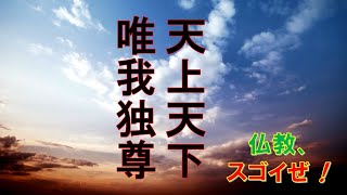 お釈迦様のお言葉「天上天下唯我独尊」。その続きと正しい意味【仏教スゴイぜ！】