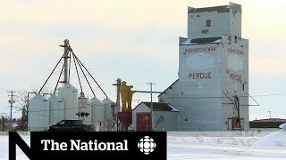 Canada's farmers fear rise in rural crime