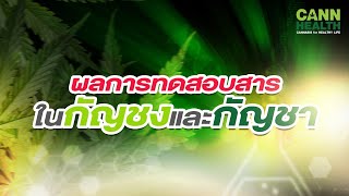 ผลการทดสอบสารในกัญชงและกัญชา | อ.รสสุคนธ์ ธนธีระบรรจง | รู้จักกับกัญชา | CANNHEALTH