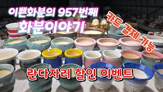 1월 4일 #이쁜화분 957번째 화분이야기