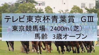 2018年　テレビ東京杯青葉賞　GⅡ　データ分析・傾向