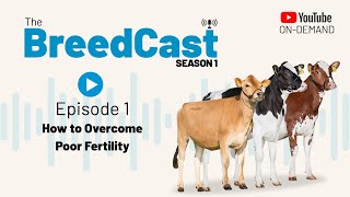 The BreedCast: S1 Episode 1 - How to overcome poor fertility