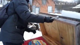 Підкормка зимою бджолосімї. Медова рамка.