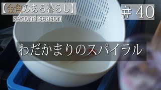 【金魚のある暮らし】その40 亀と金魚と水槽のある日常～なぜ風邪をひいてしまったのか～ socond season