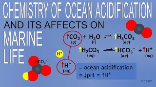 The Chemistry of Ocean Acidification and its Consequences for Ocean Life