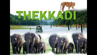 THEKKADI PERIYAR TIGER RESERVE |  തേക്കടിയുടെ വിശേഷങ്ങള്‍ കാണാം