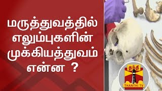 மருத்துவத்தில் எலும்புகளின் முக்கியத்துவம் என்ன ? | Thanthi TV