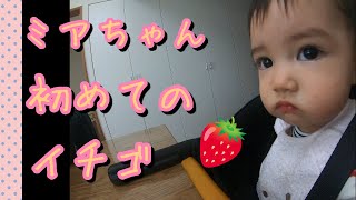 【9ヶ月】9ヶ月の赤ちゃんが初めてイチゴを食べる姿が可愛いすぎる【赤ちゃん】