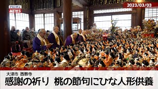 【アミンチュニュース】感謝の祈り　桃の節句に雛人形供養（大津市　西教寺）