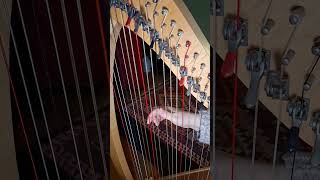 3 conseils pour accorder rapidement #harpeceltique