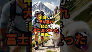 【海外の反応】「このくらい余裕だろw」C国人が犬を連れ、軽装で富士山に登るも、その後待ち受けていたのは衝撃の結末だったw