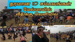 மேல்மாயில் வீதி வெளியில் காளைகள் செய்யும் தரமான அலப்பறைகள் தாறுமாறு 2023