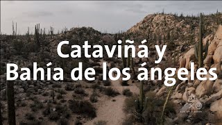 Pinturas rupestres en México | Baja trip #7 Alan por el mundo