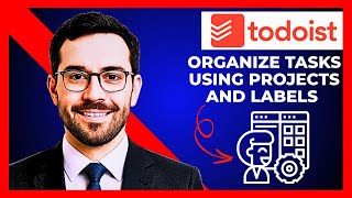 How To Organize Tasks Using TODOIST Projects And Labels (Complete 2025 Guide)