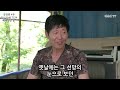 김정룡 4부 인천공항은 아무것도 아니죠. 한국에 금방도착해 울창한 산을 보는 순간 얼이나간 국군 포로 가족들.....