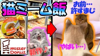 【猫ミーム】独身女が新作ミスドをトッモと一緒に青空の下で食べた話【日常系猫ミーム飯/ミスド】