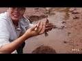 my sister and uncle came to the mangrove fence and met with fish schools hitting the net. the scene