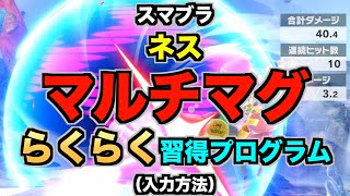 【スマブラSP】ネス『マルチマグ』らくらく習得プログラム（STEP2：確認…入力方法）