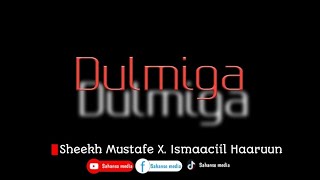 Dulmiga, Sh Mustafe X. Ismaaciil Haaruun