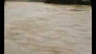Segamat Flood 6