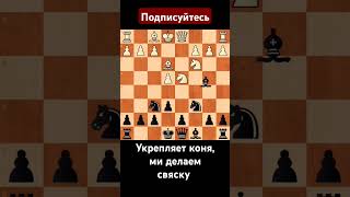 Хитрая ЛОВУШКА в СИЦИЛИАНСКОЙ защите #chess #ловушка #мат #chessgame #шахматы #шахи